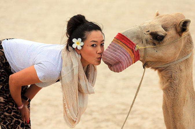 Explore The Sunset or Sunrise at Giza Pyramids By camel or  horse riding 