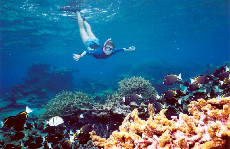 Snorkling at Mahmya Island Hurghada