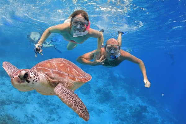 Snorkeling Trip to Giftun Island