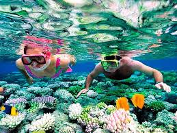 Snorkeling Trip to Giftun Island